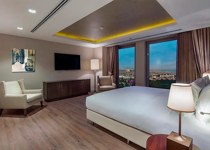 Hotel Doubletree By Hilton Topkapi