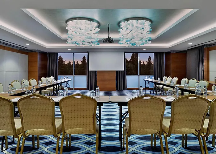 Hotel Doubletree By Hilton Topkapi Stambuł